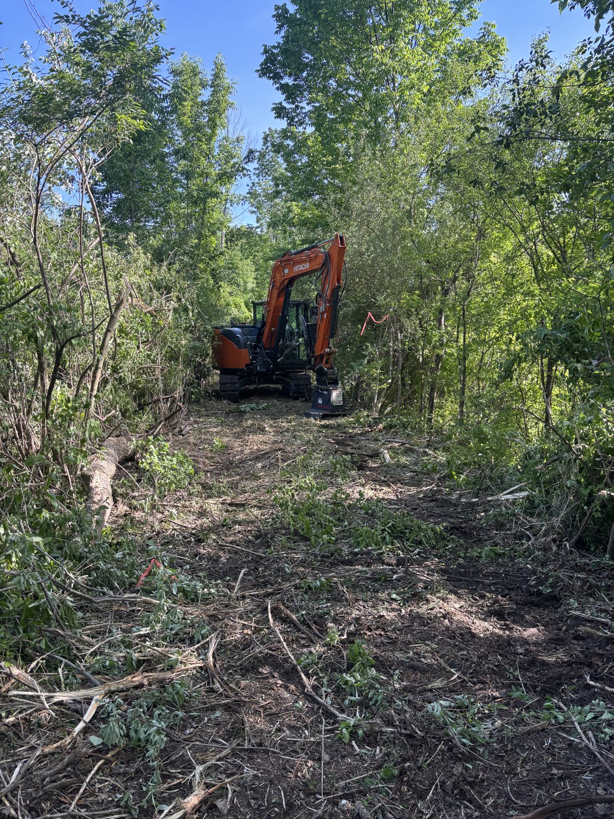 Land clearing